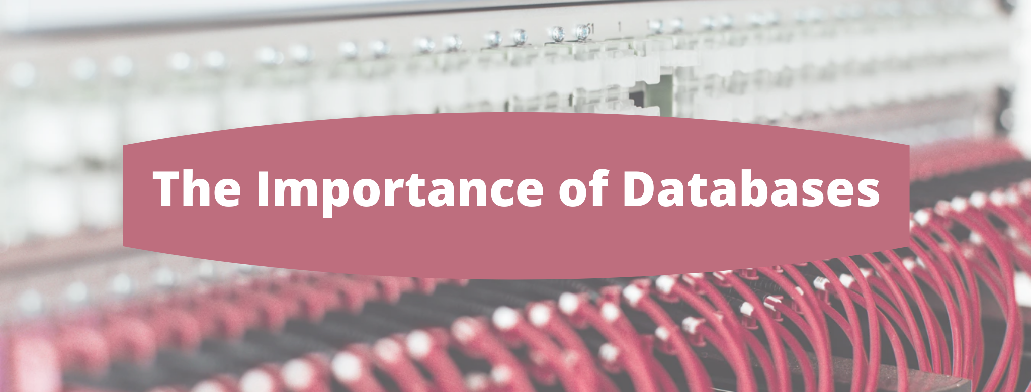 The Importance of Databases.png